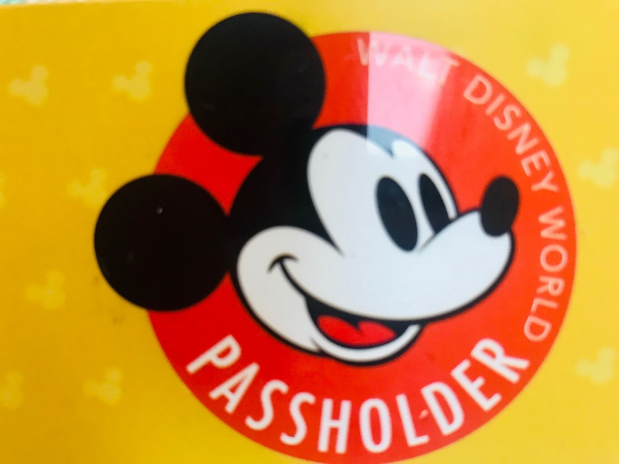 We Upgraded to Disney Annual Passholders! Discount Secrets Revealed….