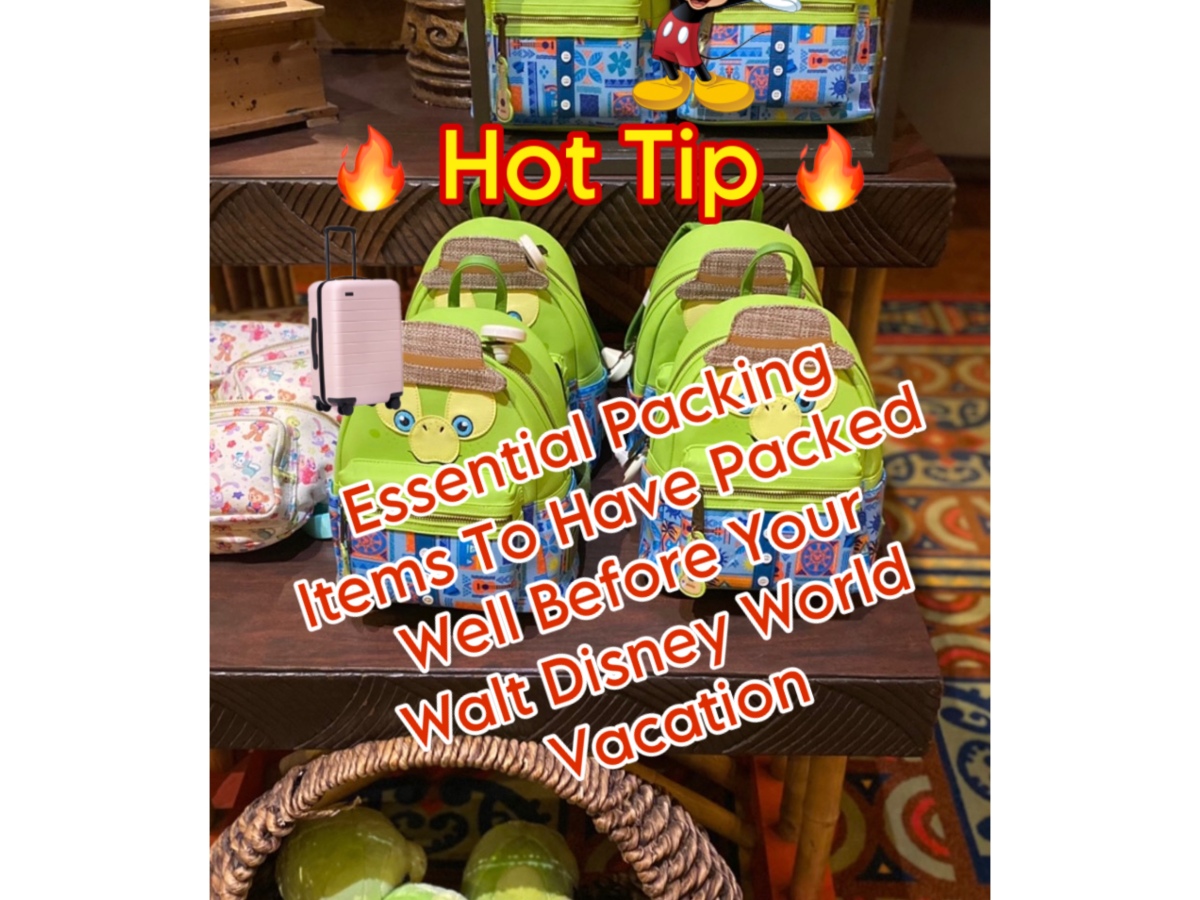 Items To Prepare Well Before Your Walt Disney World Vacation